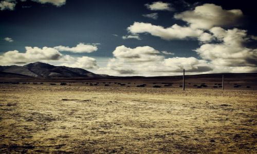 Zdjecie TYBET / near Yamdrok Tso / on the way to Lhasa / the yaks
