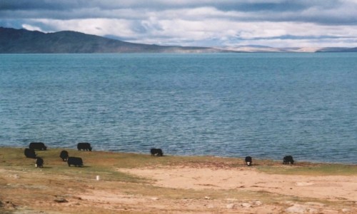 Zdjcie TYBET / Tybet pnocno - wschodni / trasa kolejowa Golmud - Lhasa / Tybet 17