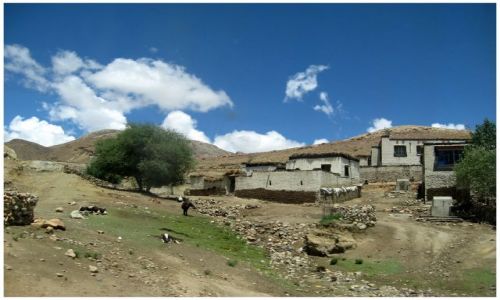 Zdjęcie TYBET / Himalaje / okol.Shigatse / Tybetańska wioska