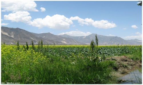 Zdjecie TYBET / Himalaje / okol.Shigatse / Z cyklu Zielone pola Tybetu