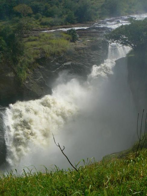 Zdjęcia: Murchison Falls NP, UGANDA Zdjęcia: Murchison Falls NP, UGANDA