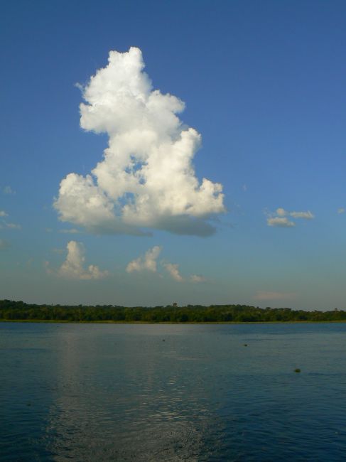 Zdjęcia: Murchison Falls NP, UGANDA Zdjęcia: Murchison Falls NP, UGANDA