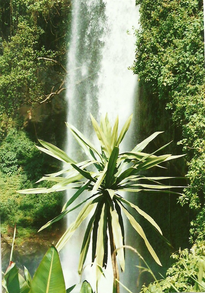 Zdjęcia: Mbale, Wsch. Uganda, Wodospady Sipi, UGANDA Zdjęcia: Mbale, Wsch. Uganda, Wodospady Sipi, UGANDA