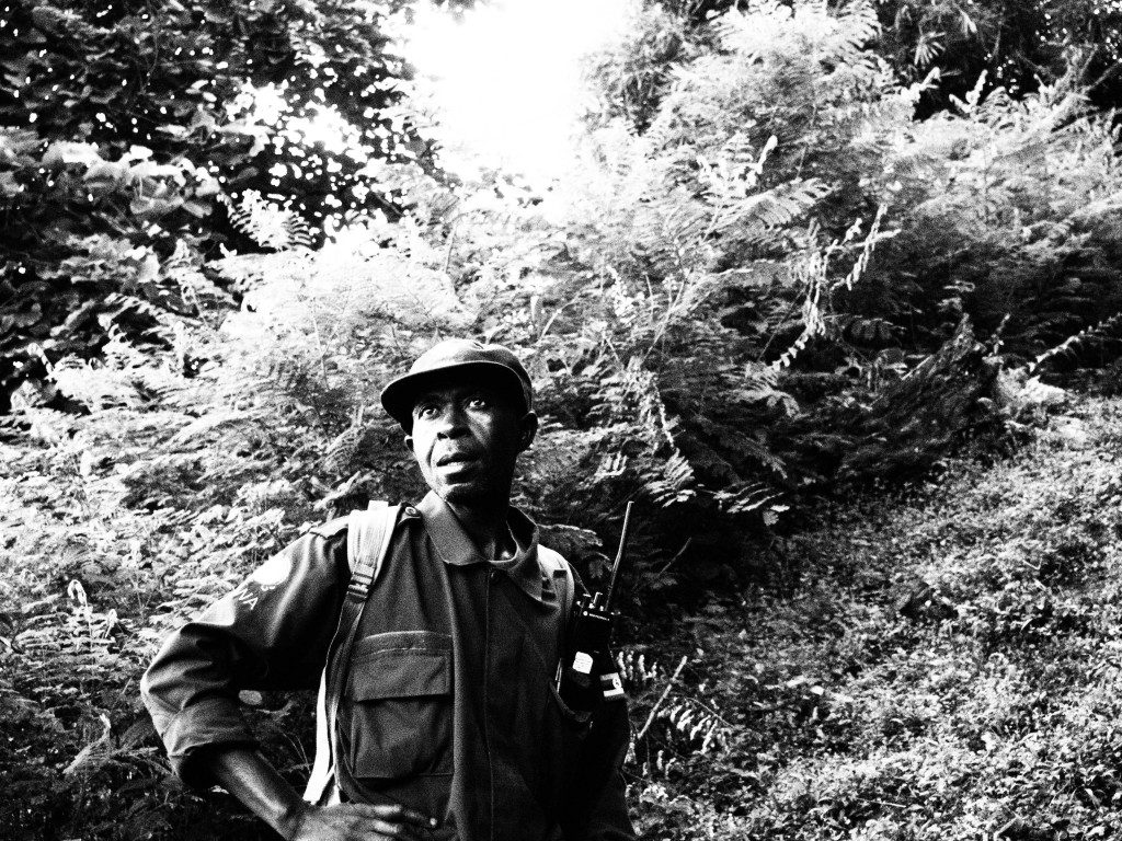 Zdjęcia: Buchoma, Bwindi, strażnik UWA, UGANDA Zdjęcia: Buchoma, Bwindi, strażnik UWA, UGANDA