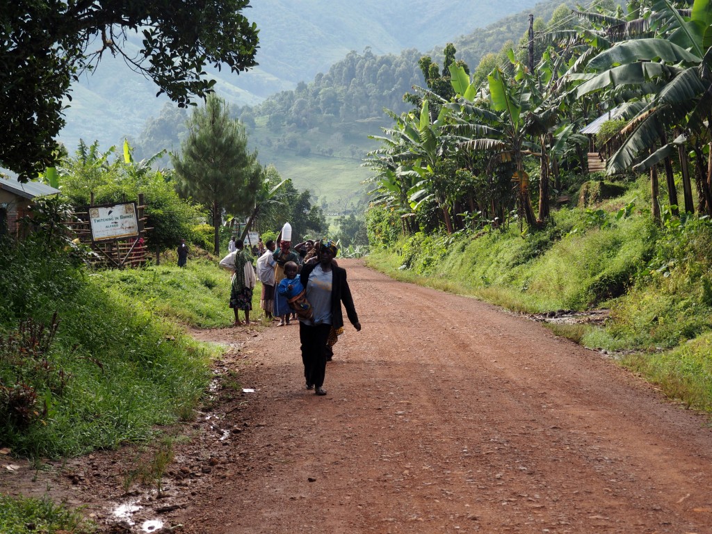 Zdjęcia: Buchoma, Bwindi, droga przez dżunglę, UGANDA Zdjęcia: Buchoma, Bwindi, droga przez dżunglę, UGANDA