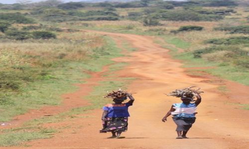 Zdjecie UGANDA / Kotido / Kotido / Wyprawa po opa