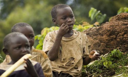 Zdjecie UGANDA / Sipi Falls / Sipi Falls / dzieci