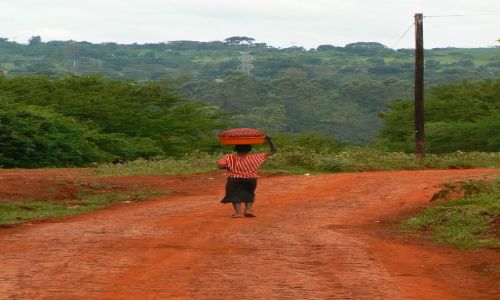 Zdjecie UGANDA / - / - / Jinja