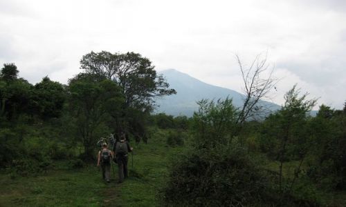 Zdjęcie UGANDA / Kisoro / Mgahinga national park / w drodze na Mount Gahinga