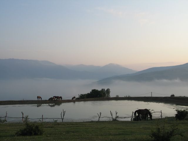 Zdjęcia: łuczistoje, demerdży, krym 2011, UKRAINA Zdjęcia: łuczistoje, demerdży, krym 2011, UKRAINA