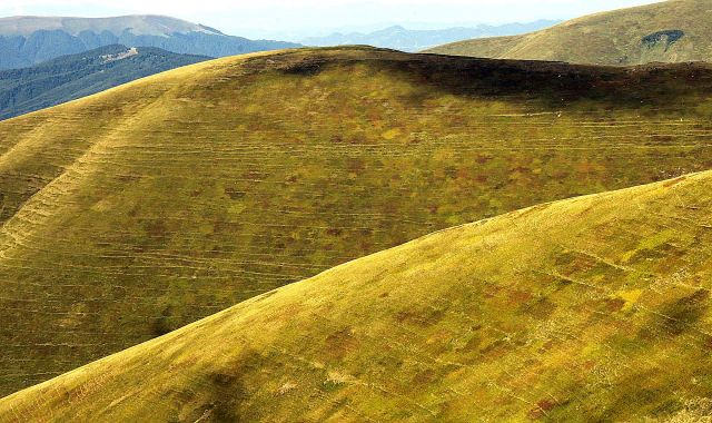 Zdjęcia: Swidowiec, Karpaty Wschodnie, Góry ubrane w moro..., UKRAINA Zdjęcia: Swidowiec, Karpaty Wschodnie, Góry ubrane w moro..., UKRAINA