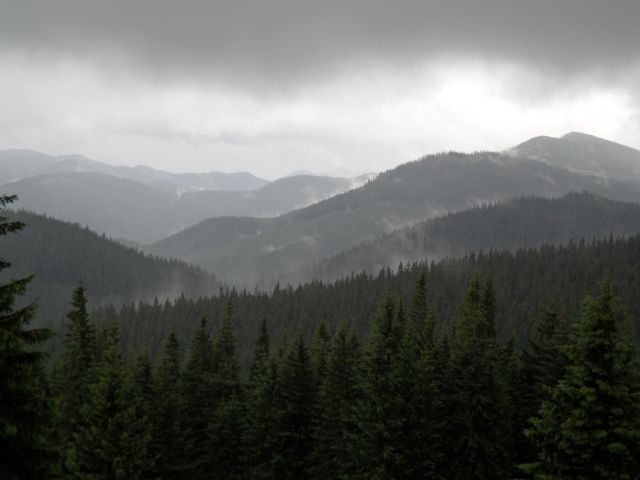 Zdjęcia: gdzies kolo Zaroślaka, Karpaty Wschodnie, Po burzy-okolice Howerli, UKRAINA Zdjęcia: gdzies kolo Zaroślaka, Karpaty Wschodnie, Po burzy-okolice Howerli, UKRAINA