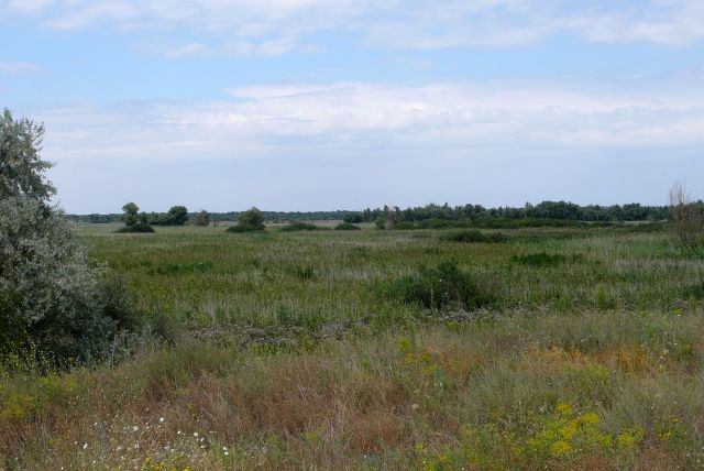 Zdjęcia: dolina Dniepru, Cherson, Naddnieprzanskie laki, UKRAINA Zdjęcia: dolina Dniepru, Cherson, Naddnieprzanskie laki, UKRAINA