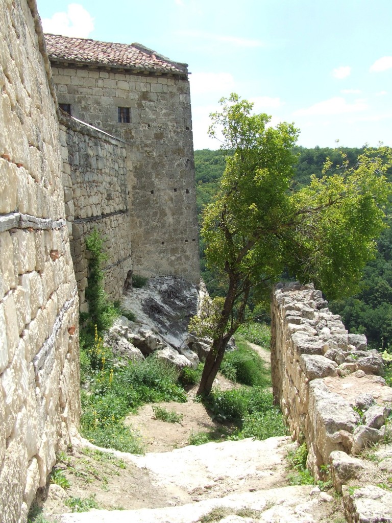 Zdjęcia: Skalne miasto, Krym, niepokorne drzewo, UKRAINA Zdjęcia: Skalne miasto, Krym, niepokorne drzewo, UKRAINA