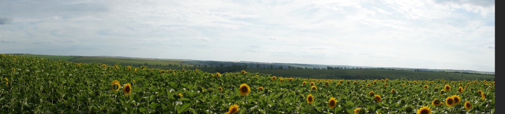 Zdjęcia: Odessa, Odessa, Wschodnia Odyseja, UKRAINA Zdjęcia: Odessa, Odessa, Wschodnia Odyseja, UKRAINA