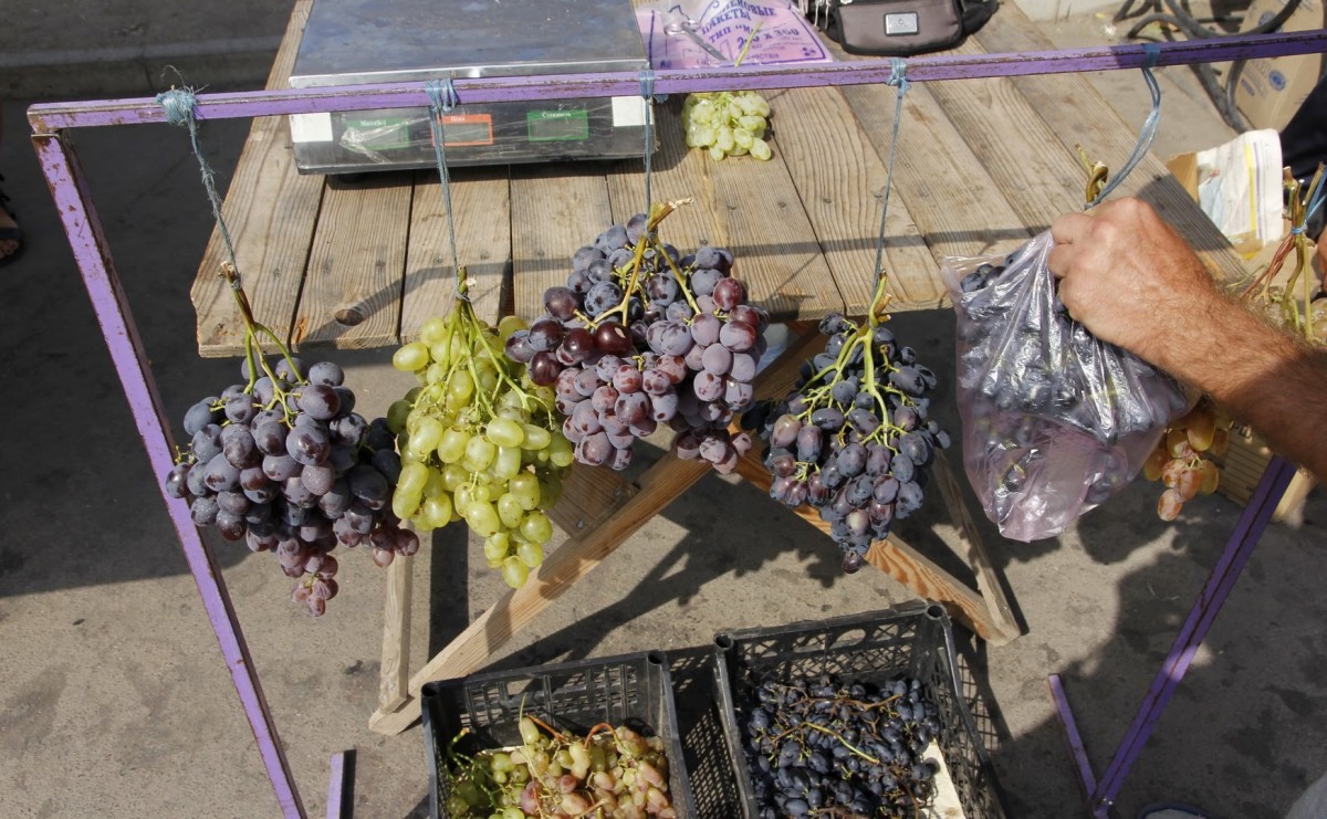 Zdjęcia: Berdiańsk, Obwód zaporoski, Miejscowe winogrona na targu w Berdiańsku, UKRAINA Zdjęcia: Berdiańsk, Obwód zaporoski, Miejscowe winogrona na targu w Berdiańsku, UKRAINA