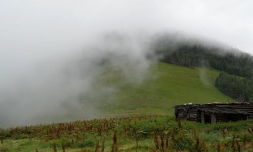 Zdjcie UKRAINA / Karpaty Wschodnie / Gorgany / Gdzies w Gorganach