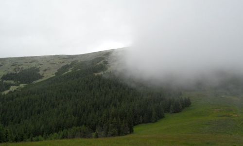 Zdjcie UKRAINA / Karpaty Wschodnie / Gorgany / Pasmo Gorganow z nadchodzaca burza w tle 