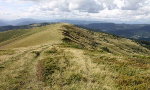 Zdjcie UKRAINA / Karpaty Wschodnie / Swidowiec / Swidowiec