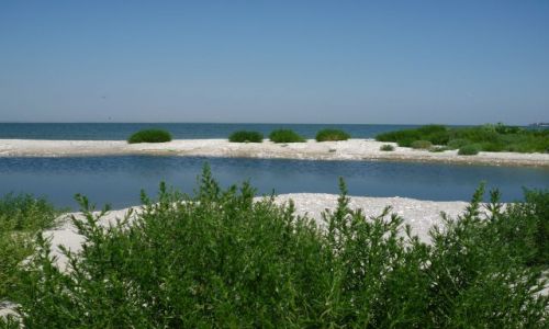 Zdjęcie UKRAINA / .. / ok Odessy / Morze czarne