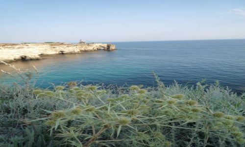 Zdjęcie UKRAINA /  Krym /  pólwysep zachodni / Morze Czarne