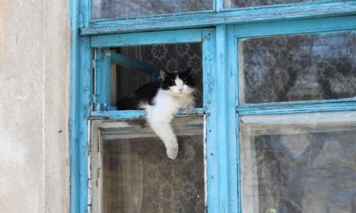 Zdjecie UKRAINA / Krym / Sewastopol / 