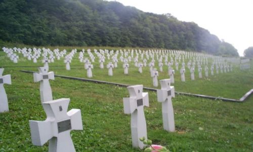 Zdjęcie UKRAINA / Galicja / niedaleko Zarwanycy - 100km za Lwowem / cmentarz żołnierzy dywizji Halyczyna