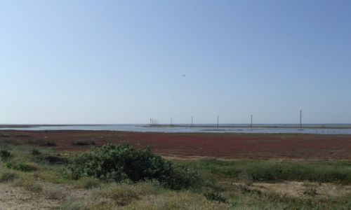UKRAINA / Krym / Morze Azowskie / Mierzeja Arabacka