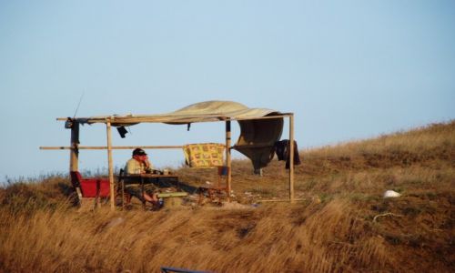 Zdjecie UKRAINA / Krym / Yuzhne / sieci rozstawione, czas na popołudniową herbatę