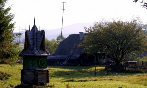 Zdjecie UKRAINA / okolice Doliny / wie u podna Karpat / Ukraiskie widoki