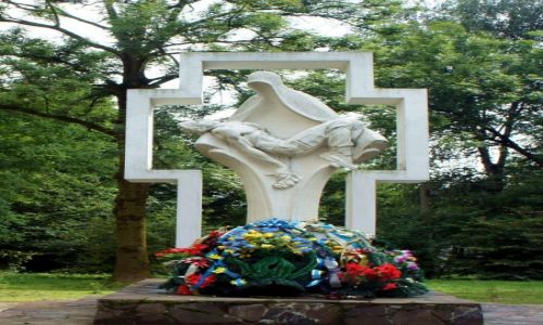 Zdjęcie UKRAINA / Aglomeracja Drohobycko-Borysławska / Drohobycz / Tym, którzy nie powrócili z Afganistanu