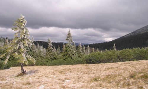 Zdjcie UKRAINA / Gorgany / Gorgany / Gorgany