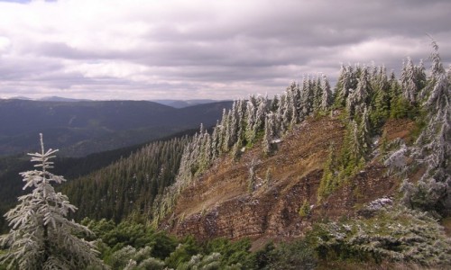 Zdjcie UKRAINA / Gorgany / Gorgany / Gorgany