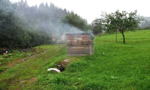 Zdjecie UKRAINA / Karpaty Ukraiskie / Dembronia Wyna / Huculska mikrofala