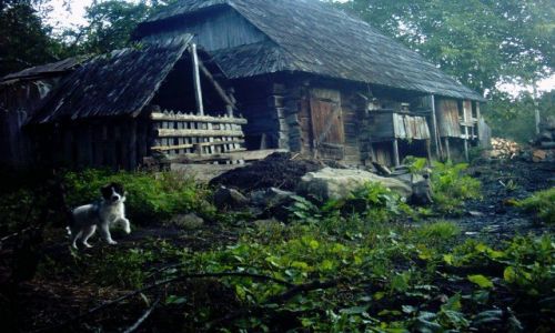 Zdjęcie UKRAINA / Karpaty Ukraińskie / Synewir / Ukraińska wieś