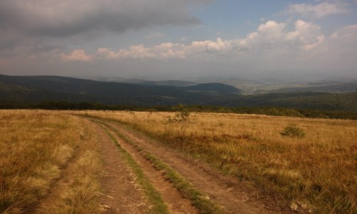 Zdjęcie UKRAINA / karpaty ukraińskie / w drodze na Pikuj / Karpaty...