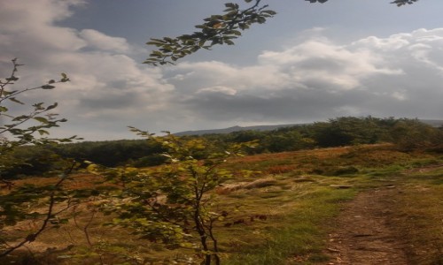 Zdjęcie UKRAINA / karpaty ukraińskie / w drodze na Pikuj / w obiektywie PIKUJ