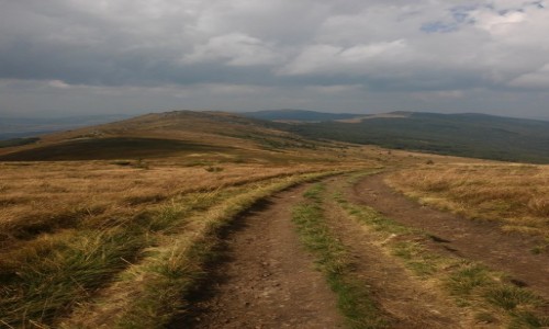 Zdjęcie UKRAINA / karpaty ukraińskie / w drodze na Pikuj / Połoniny Ukraińskie