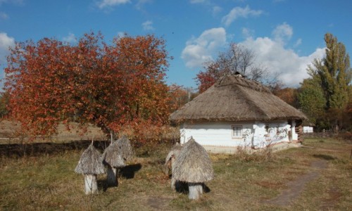 Zdjcie UKRAINA / Kijw / Muzeum narodowej architektury, Pirogowo / Przydomowa pasieka