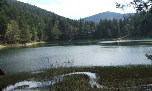 Zdjęcie UKRAINA / Zakarpacie / Park Narodowy Synewir / Jezioro Synewir