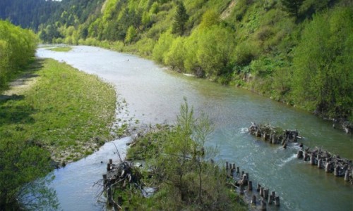 Zdjecie UKRAINA / Zachodnia Ukraina / Zachodnia Ukraina / Ukraiskie Bieszczady