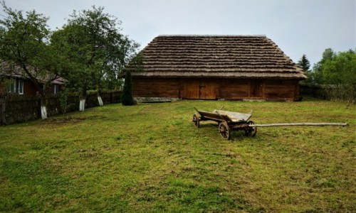 Zdjęcie UKRAINA / Drohobycz / Nahujowice (ukr. Нагуєвичі)  / Zagroda