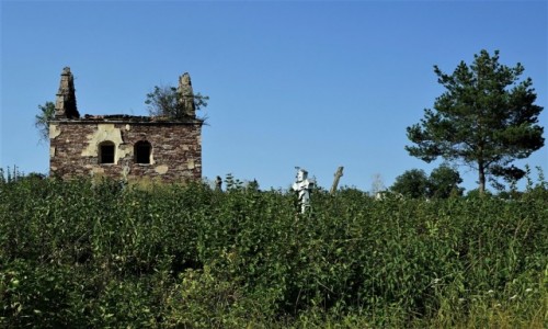 UKRAINA / Obwd Tarnopolski / Czerwonogrd / Cmentarz