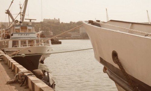 Zdjecie UKRAINA / - / port odeski / W porcie