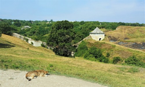 Zdjcie UKRAINA / Czerniowce  / Zamek w Chocimiu / Na strazy
