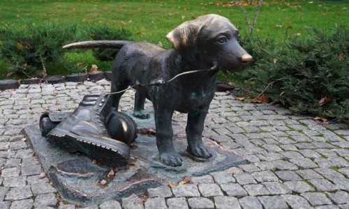 Zdjecie UKRAINA / Charkw / Park Gorkiego / Piesio