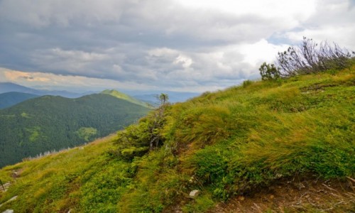 Zdjcie UKRAINA / Karpaty Zachodnie / Czarnogra / Na Smotryczu
