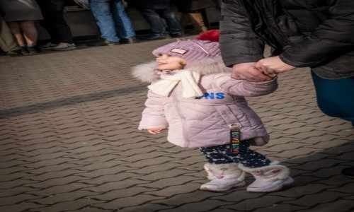 Zdjcie UKRAINA / obwd iwanofrankowski / Iwanofrankiwsk / zachwyt nad choink