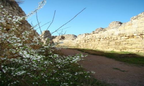 Zdjęcie UKRAINA / KRYM / Sewastopol-kolonia grecka / W cytadeli