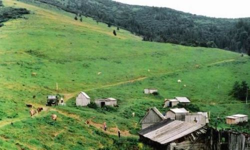 Zdjecie UKRAINA / Karpaty / Czarnohora / Wioska pasterska